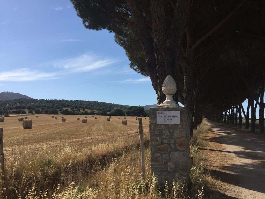 Agriturismo La Valentina Nuova Vila Talamone Exterior foto